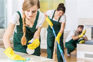Professional CleanRise Cleaner