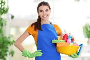 Carpet Steam Cleaning